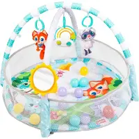 WINFUN Ball Babygym Refurbished