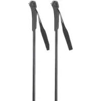 Rossignol Ft-501 Junior Staver
