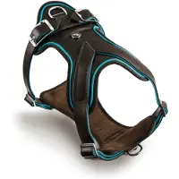 My Family Hermitage Hundesele