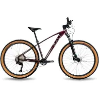 RALI Adv I 29´´ Cues Terrengsykkel