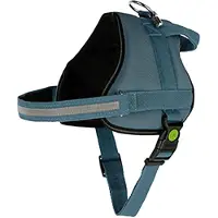 Kerbl Maestro 2.0 Hundesele