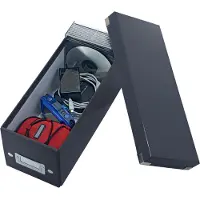 Leitz Oppbevaringsboks Click & Store WOW CD Sort