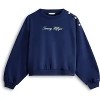 Tommy Hilfiger Ww0ww47837 Collegegenser