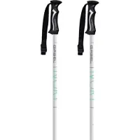Gabel Ivory Spaserstokker