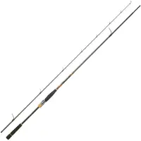 Daiwa Morethan Branzino Expert Allround Custom Spinnestang