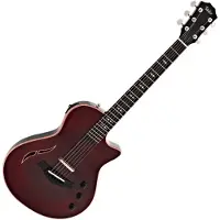 Taylor Guitars Taylor T5z Pro Grapevine