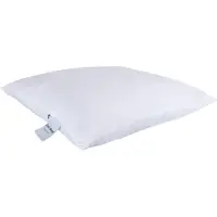 Zen Sleep Fiberpute - Allergivennlig hodepute - 50x60 cm - Middels høydepute -