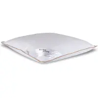 Borg Living Moskusdun hodepute - Lav - 50x60 cm - 3-kammer hodepute -