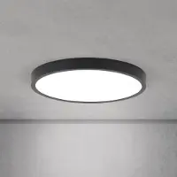 Orion LED-taklampe Disc, svart Ø 28 cm, CCT metall/plast