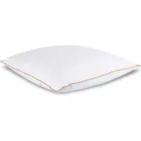 Borg Living Hodepute med moskusdun - 50x60 cm - Mellompute - Årsputen 2024 - 3 kammer -