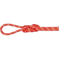 Mammut Alpine Classic 8 Mm Tau