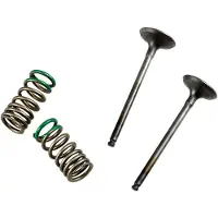 ProX Yamaha Yz/wr 250 F 28.ses2402-1 Springs Inntaksventil