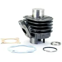 Tecnium 303003 Minarelli Sylinder