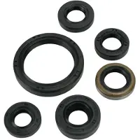 Moose Hard-parts Kawasaki Kfx 450 R 2x4 822334mse Oljetetningssett