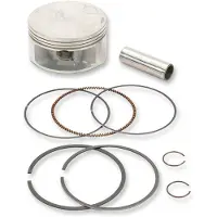 ProX 101.00 Mm 01.2660.100 Aluminium Stempel