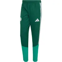 Adidas Algeria 26/27 Presentasjon Treningsbukse
