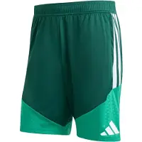 Adidas Algeria 26/27 Trening Shorts