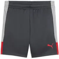 Puma IndividualLIGA Football Training Shorts Youth, Sports, Gray Echo/Dusky Gray/Red, 11-12Y