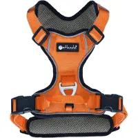 Petlando utendørssele, oransje - Størrelse S: 46 - 56 cm brystomkrets