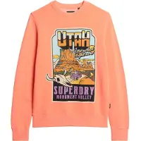 Superdry Neon Travel Loose Collegegenser