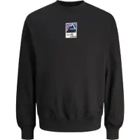 Jack & Jones 12256507 Collegegenser