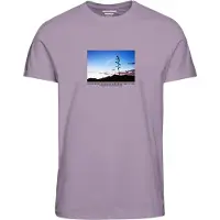 Jack & Jones Marbella 1 Kortarmet T-skjorte