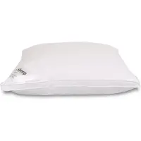 Zen Sleep Dunfiber allergivennlig hodepute - Mellom -
