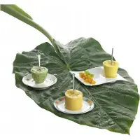 Villeroy & Boch NewWave Caffe fat 20 x 14 cm