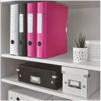 Leitz Smalordner Active PP WOW A4/60mm Rosa