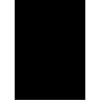 Folia kartong 70x100 300 g, 10 ark, svart