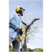 Kärcher PSW 18-20 - Stangsag - trådløs - 18 V - 5 Ah - 20 cm - 4.9 kg - SOLO