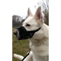 Dogman Justerbar Munkorg Strl XL