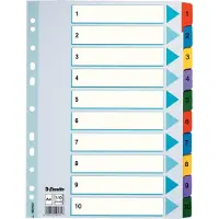 Esselte Register Mylar A4 1-10 flerfarget