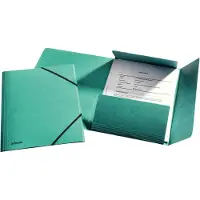 Esselte - 3-fliksmappe - for A4 (210 x 297 mm) - kapasitet: 350 ark - grønn