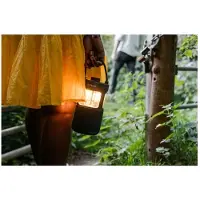 Pure Woodland Glow Bluetooth-høyttaler
