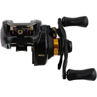 Westin W6-BC 100 HSG 8.1:1 RH STEALTH GOLD 10+1BB