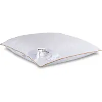 Borg Living Moskusdun hodepute - Mellom - 50x60 cm - 3-kammer hodepute -