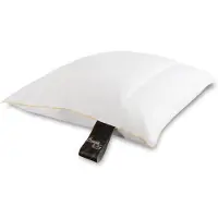 Borg Hodepute med moskusdun - 4 kamre - 60x63cm -