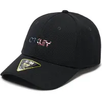 Oakley Apparel 6 Panel Stretch Metallic Cap