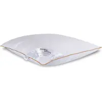 Borg Living Moskusdun hodepute - mellom - 60x63 cm - 3-kammer hodepute - - Dream
