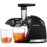 Amzchef 1501-BK-SM Slow Juicer (svart)