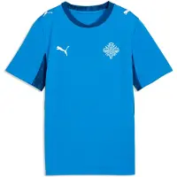 Puma Iceland 2026 Home Jersey Youth, Shop, Electro Royal/White, 9-10Y