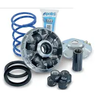Polini 241.750 Variatorkit