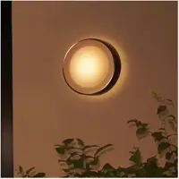 Philips Hue White and Color Ambiance Daylo - Vegglampe - LED - 15 W (ekvivalent 80 W) - 16 millioner farger - 2000-6500 K - inox