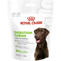Royal Canin Digestion Adult Chews kosttilskudd - Sparepakke: 2 x 160 g (80 stk)