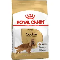 Royal Canin Adult Cocker - dry dog food - 12 kg