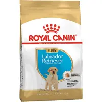 Royal Canin Labrador Retriever Puppy - Økonomipakke: 2 x 12 kg