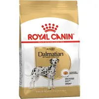 Royal Canin Dalmatian Adult - Økonomipakke: 2 x 12 kg