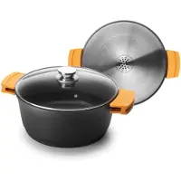 Ibili Evolution 20 Cm Gryte