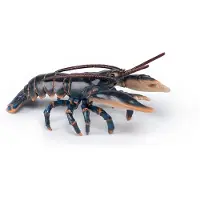 Papo Lobster, Flerfarget, 1 stykker